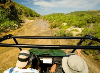  Tour in buggy